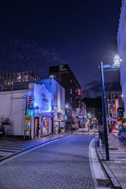 横須賀、横須賀観光、どぶ板通り、初めて、スポット、穴場